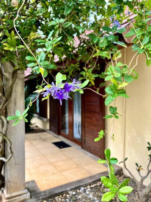 Villa Searenity *